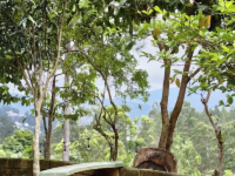 ファイナル ゲート エコ リゾート エッラのホテル