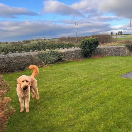Ty'n Rardd Mountain Views Secure Garden Parking