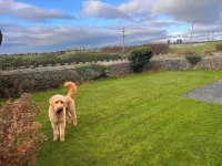 Ty'n Rardd Mountain Views Secure Garden Parking - Park Yeri