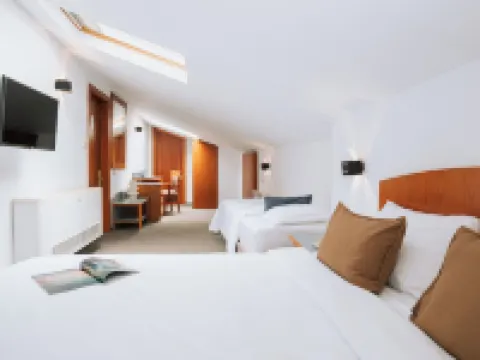 Hotel Duke Romana City Center ブカレストのホテル