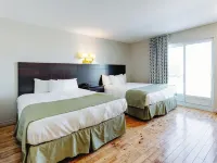 Mon Joli Motel Hotels in La Mitis