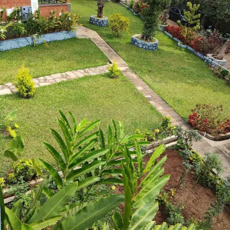 Avocado Cottages