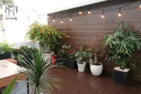 M Home Saigon - que admiten mascotas