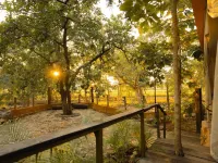 Yaarnagar Jungle Resort Ratapani Hotels in Sehore