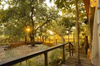 Yaarnagar Jungle Resort Ratapani
