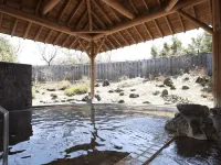 Hachimantai Rising Sun Hotel - Varme kilder