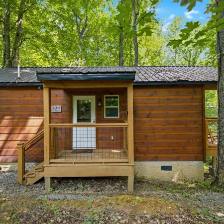 Bearly Behaving 1 Bedroom Cabin