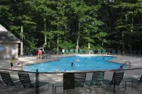 Treetop Mountain Escape - Fireplace, Views & Pool - Pool
