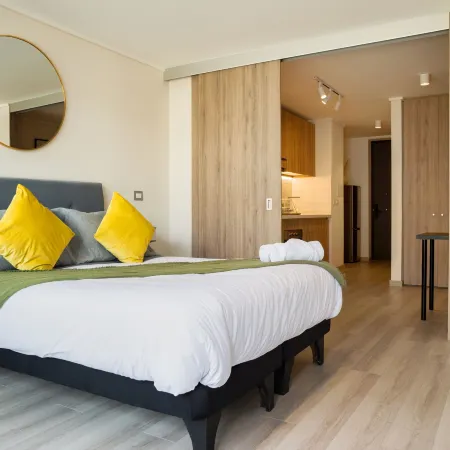 Modern Studio in Las Condes with Gym