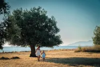 Delfinia Hotel & Bungalows - Beach
