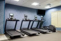 Homewood Suites by Hilton Doylestown - Kuntosalit