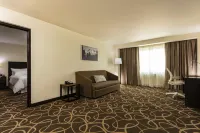 託盧卡希爾頓逸林酒店 - 泳池