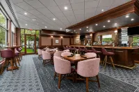 錫拉丘茲希爾頓花園飯店 - 酒吧