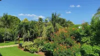 Hotel Villa Del Sol - Pools