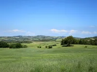 Il Sorbo