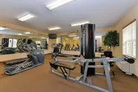 Candlewood Suites Horseheads - Elmira Hotels in Big Flats