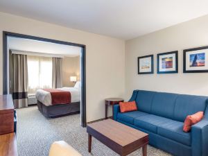 Comfort Inn Bonner Springs Kansas City