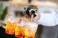 Silva Hotel Splendid - bar
