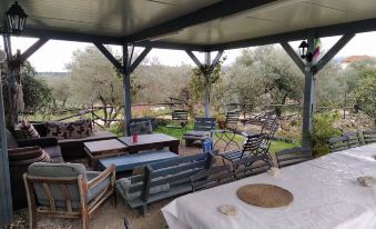 Galilee Bedouin Camplodge