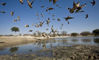 Grassland Safari Lodge