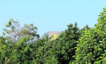 a mountain with a clear blue sky in the background and green trees in the foreground at Seasons Villa