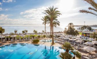 a large outdoor swimming pool surrounded by palm trees , with the ocean visible in the background at Hipotels Flamenco