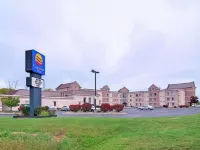 Comfort Inn Hotels in Saginaw County
