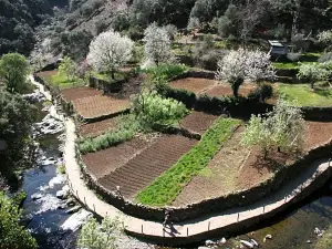 La Posada del Casar