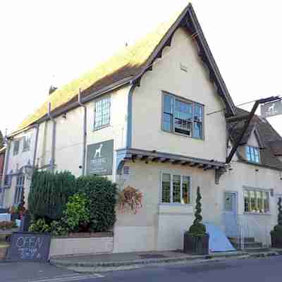 The Dog at Wingham Hotel Exterior