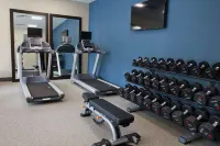 Hilton Garden Inn Tampa - Wesley Chapel - salle de sport