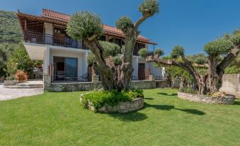 Eptanisos Beachfront Suites Zante