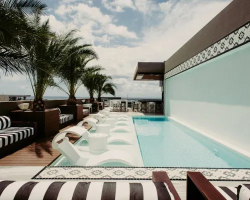 Marquee Playa Hotel Hotels near 5th Avenue