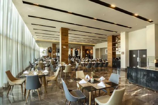 Hilton Garden Inn Aguascalientes