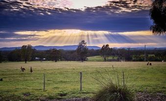 Grampians Pioneer Cottages