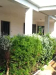 Villa Tamaris on the Beach - Pet friendly