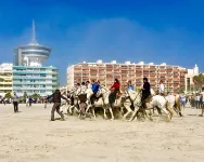 Brasilia Hôtel - Beach