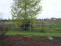 Claymore Inn and Suites Hotel a Antigonish