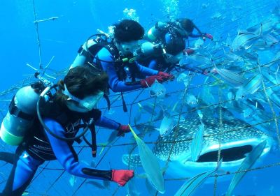 その他 リザンシーパークホテル谷茶ベイの写真