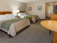 Comfort Inn & Suites Syracuse-Carrier Circle Hotels in East Syracuse