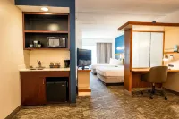 SpringHill Suites San Antonio Alamo Plaza/Convention Center