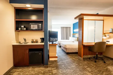 SpringHill Suites San Antonio Alamo Plaza/Convention Center
