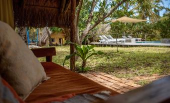 Turtle Cove Lodge and Yoga Shala