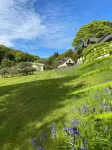 Rosecraddoc Manor Self Catering Holidays Hotels in Saint Cleer