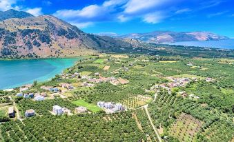 Cretan Sunny Villa