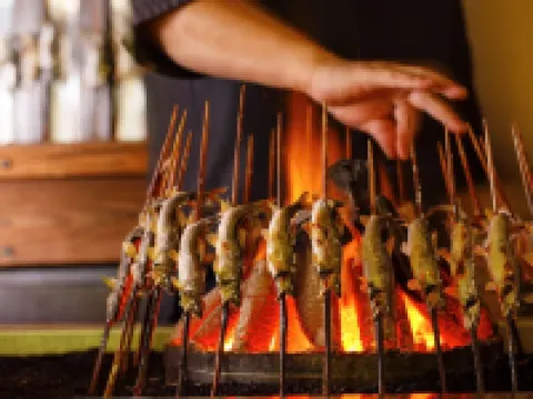 人肌之宿川金 礪波市酒店