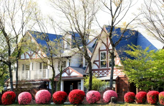 安吉利卡膳食公寓