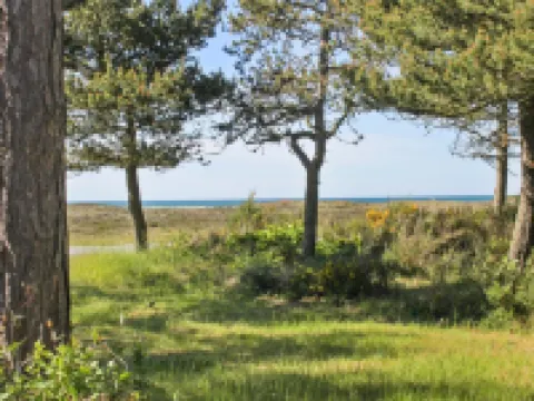 "Hatem" - 200m from the Sea