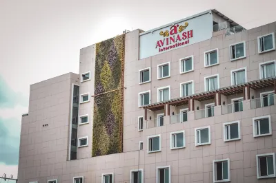 Hotel Avinash International