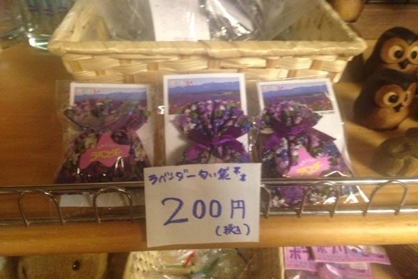 Furano Hops Hotel(富良野ホップスホテル)_2
