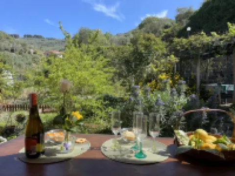 Casa dei Nonni (Imp425)